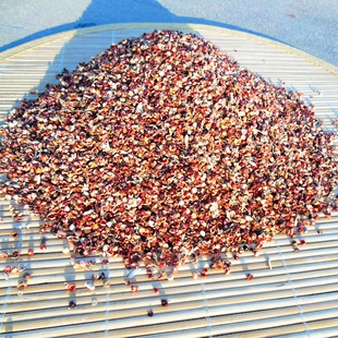 红高粱壳皮荞麦壳谷壳小米壳秕谷瘪谷子黍子枕头套枕芯皮填充物