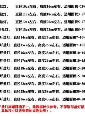 salt lamp himalaya crystal salt lamp creative natural feng s