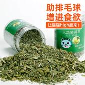 Natural Cat Organic nip Premium Toy