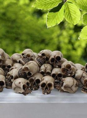 20Pcs Mini Skull Model Collectable Halloween Gothic Skull