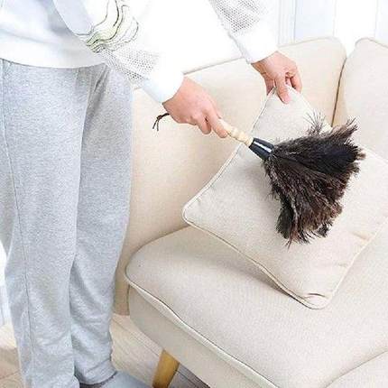Feather Duster Wooden Handle Duster Anti-Static Dust