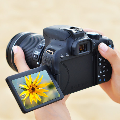 Canon/佳能800D EOS18-55套机入门级单反照相机数