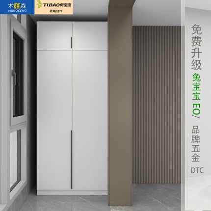 2026衣柜储物柜简约家用阳台收纳置物柜两门杂物靠墙柜定制兔宝宝