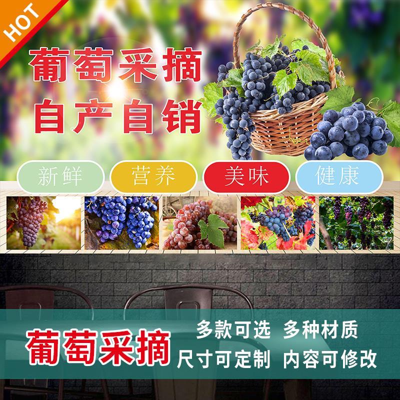 葡萄采摘园广告海报贴纸小推车地摊防水广告贴纸喷绘布3484