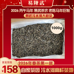 普洱茶生茶2026年春茶预售易武冷水河大树纯料1000g