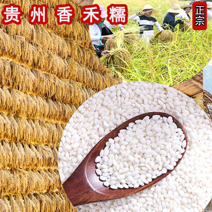 糯米贵州特产香禾糯圆粒农家梯田糯米包粽子糍粑黎平从江高杆古稻