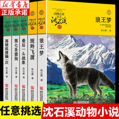 沈石溪动物小说全集5册 品藏升级版 狼王梦正版斑羚飞渡第七条猎狗最后一头战象再被狐狸骗一次 三四五六年级小学生课外阅读书籍