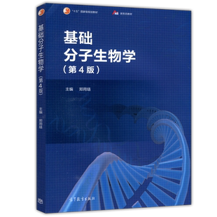现货包邮 基础分子生物学 第4版 第四版 郑用琏 大学生基础分子生物学教材教科书 生物科学 十五国家规划教材 高等教育出版社