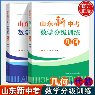 山东新中考数学分级训练代数几