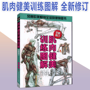 改YS包邮 肌肉健美训练图解德拉威尔运动肌肉解剖学图谱健身教程大全健身增肌书籍肌肉拉伸训练减脂肌肉解剖书 山东科学技术出版社
