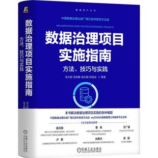 官方正版 数据治理项目实施指南：方法、技巧与实践 毛大群 汤贺静 高志鹏 郑渤龙 等 机械工业出版社
