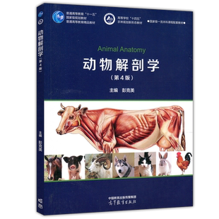 现货包邮 动物解剖学 第4版 第四版 彭克美 高等学校十四五农林规划新形态教材 普通高等教育十一五国家级规划教材 高等教育出版社
