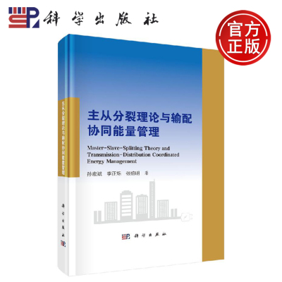 正版现货 主从分裂理论与输配协同能量管理 孙宏斌 李正烁 张伯明 -科学出版社