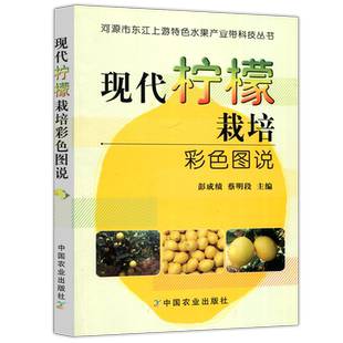 现货包邮 现代柠檬栽培彩色图说 彭成绩 蔡明段 柠檬书籍柠檬种植技术教材书籍种植业精品图书柠檬百科知识大全 中国农业出版社