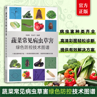 宋益民 共性病害 姜永平 科学绿色防控理念 农业 蔬菜病虫草害发生规律和生活史 蔬菜常见病虫草害绿色防控技术图谱