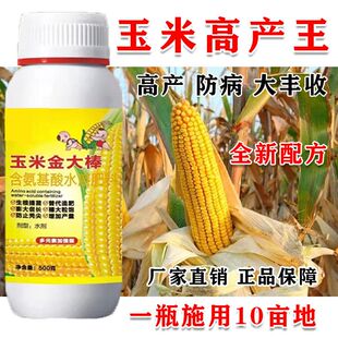 玉米金大棒金大棒促根壮苗促早熟强株耐旱涝抗倒伏氨基酸水溶肥