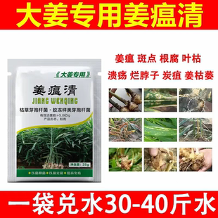 姜瘟清病生姜病干尖黄叶全治生姜杀菌剂姜温清净姜瘟灵生姜专用药