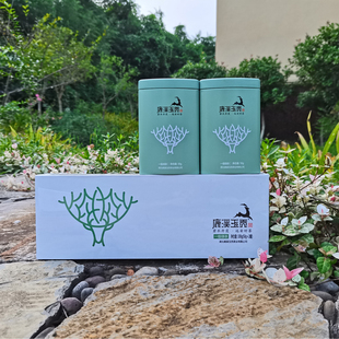明前石桥毛尖~100g礼盒 鹿溪玉贡高山云雾绿茶2025年新茶