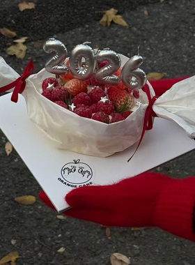 2026胖嘟嘟数字蜡烛蛋糕装饰草莓糖跨年元旦新年仪式感装扮插件