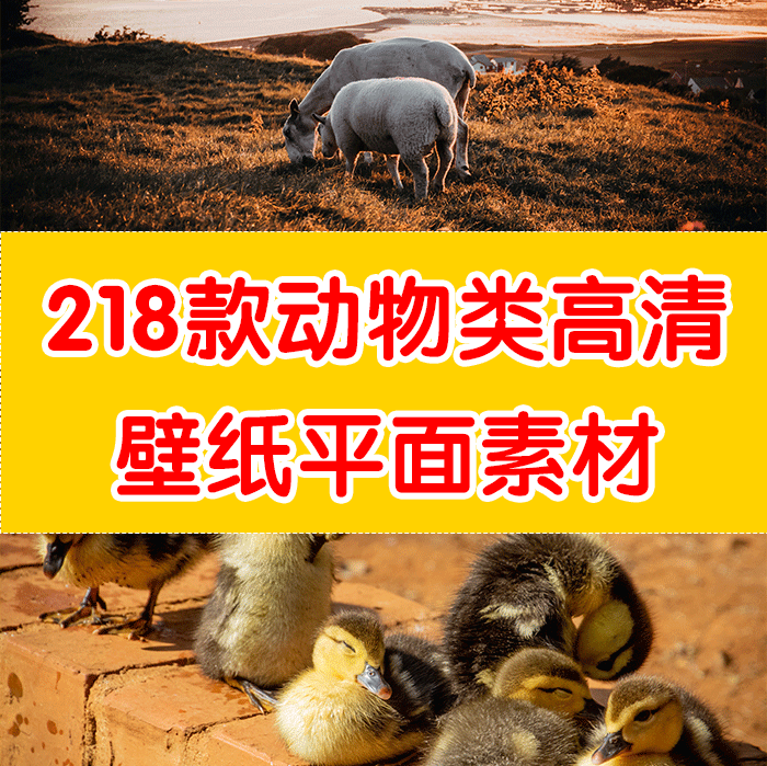 高清壁纸动物高清壁纸平面图片桌面壁纸