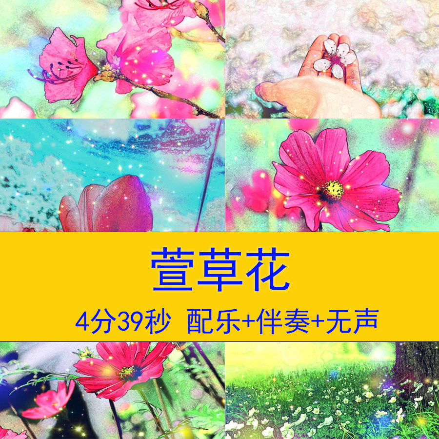 母亲节歌曲萱草花配乐成品背景视频感恩母亲母爱母亲节led背景