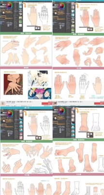 【csp模型】手足模型打包   手部模型有纤细和男子手+女子手