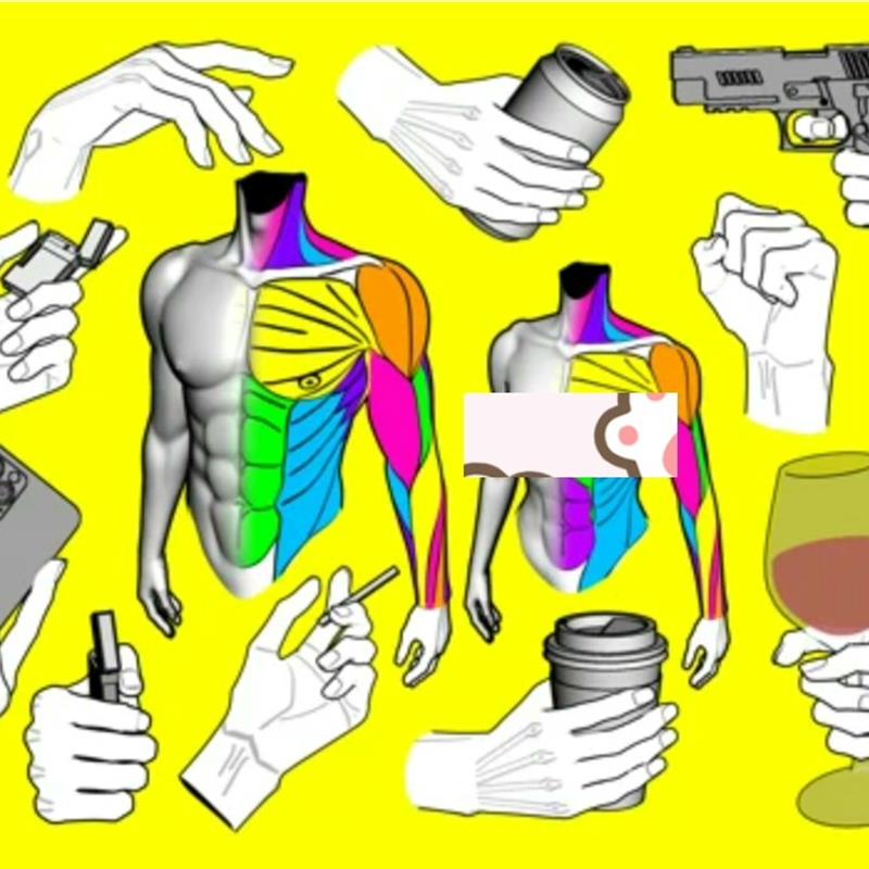 【CSP3d模型】上半身肌肉3d模型此系列全套 合集 手模型