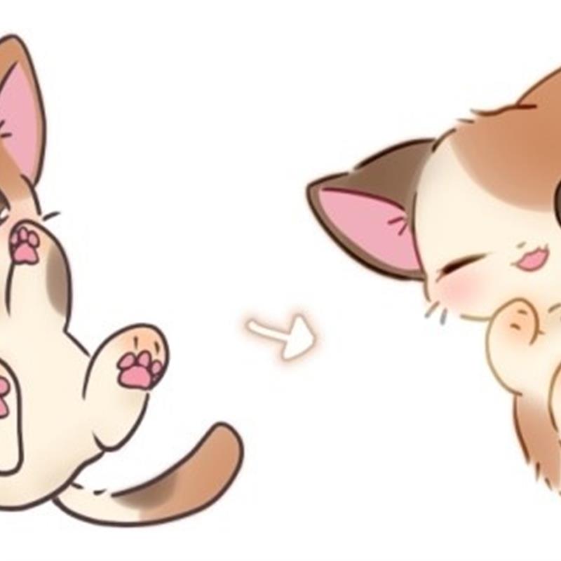 csp自动动作使线条变柔和