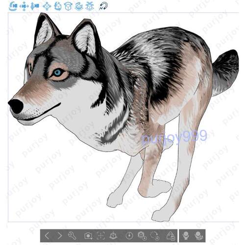 csp3d狼模型可动设计素材