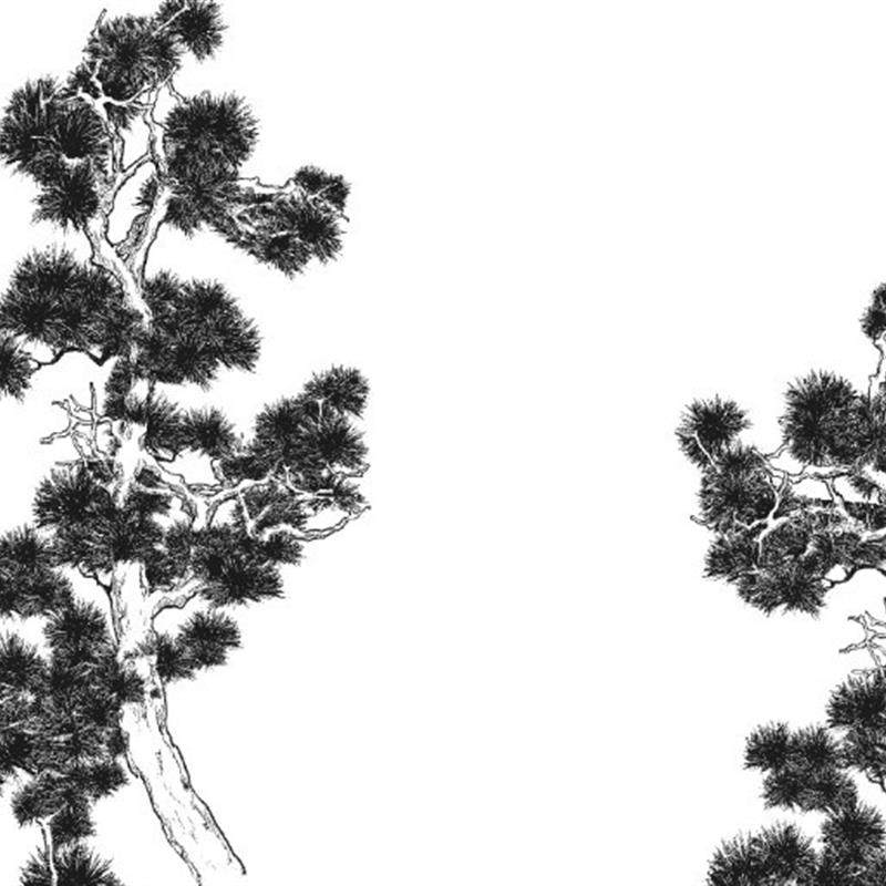 39-CSP松树笔刷3支