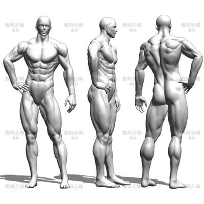 【CSP模型】肌肉男人体模型clip格式CSP模型 CSP肌