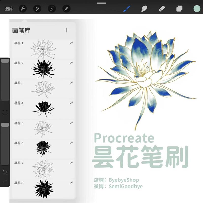 procreate昙花笔刷 可商用花卉素材花朵线稿ipad绘