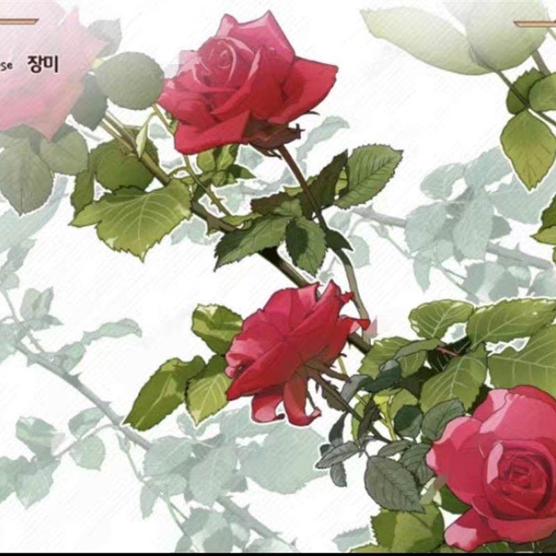 10-CSP玫瑰笔刷【7支】