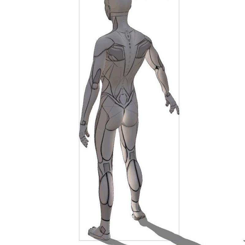 【csp模型】男性线稿肌肉3d模型 人体肌肉结构参考辅助绘画