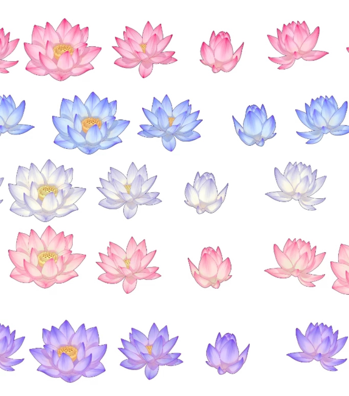 【csp笔刷】多色荷花 7支 只能csp 优动漫用 其他软件都不能用