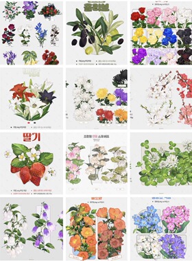 csp acon3d 花卉 花朵 花 优动漫 笔刷 素材  超多花笔刷