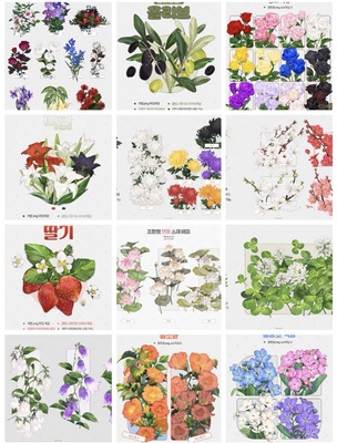 csp acon3d 花卉 花朵 花 优动漫 笔刷 素材  超多花笔刷