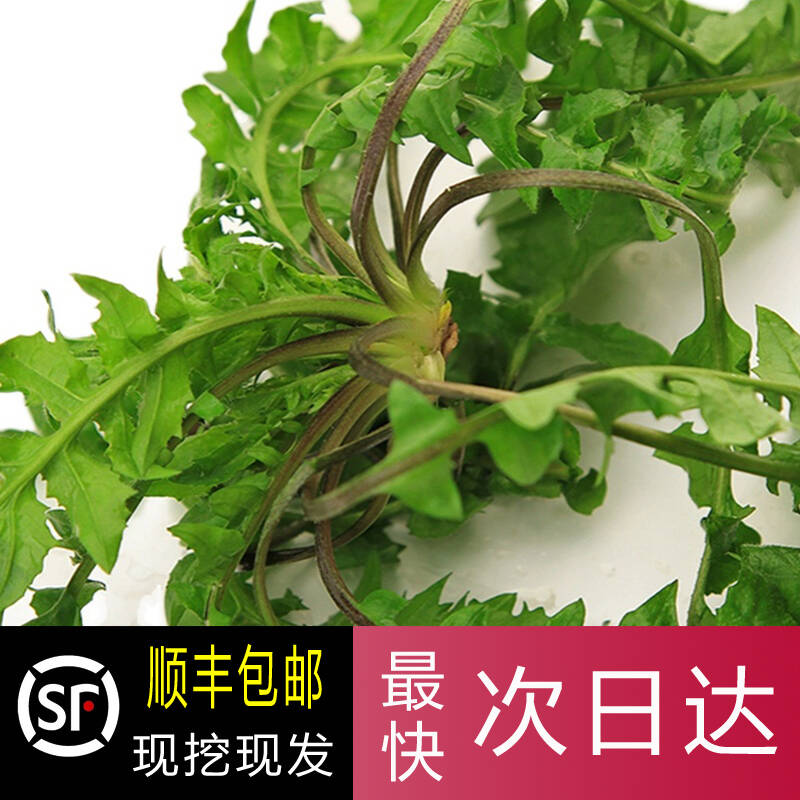 野生荠菜现挖现发沃江源