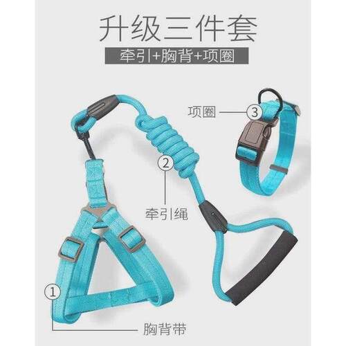 harness collar dog chain walk dog leash durable scottish