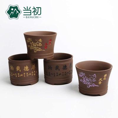 At the beginning, purple sand fleshy flowerpot large diamete