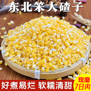 东北笨大碴子玉米芸豆粥农家自产脱皮玉米碎粒黏苞米茬子杂粮粥饭
