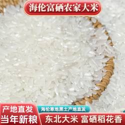 2025东北大米新米稻花香2号黑龙江海伦富硒长粒香大米粳米5kg10斤