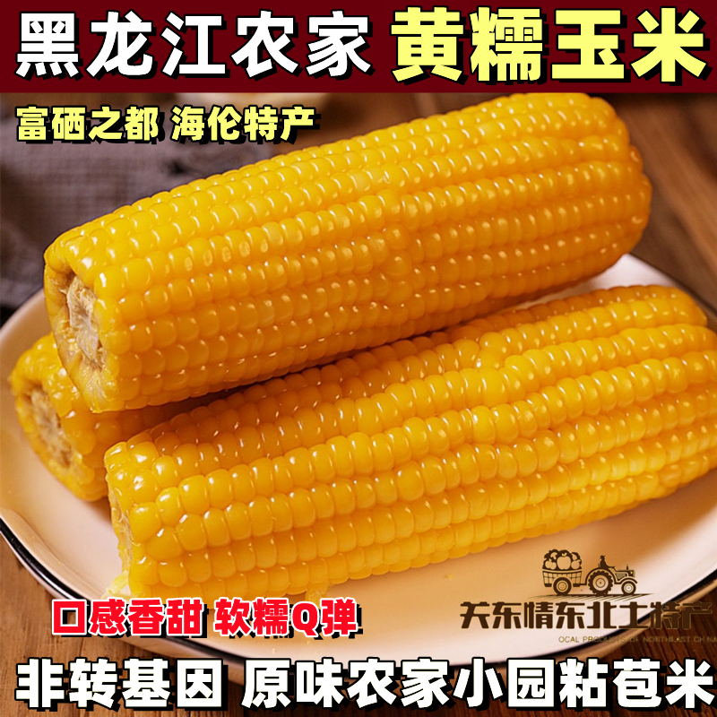 东北甜糯黄玉米新鲜大棒非转基因粘黏玉米粗粮主食代餐苞米真空装 粮油调味/速食/干货/烘焙 玉米 原图主图