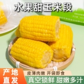 东北水果甜玉米段真空包装 开袋即食玉米学生宿舍早餐低脂免煮代餐