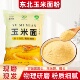 东北纯玉米面粉新粮苞米面粉粗粮杂粮馒头窝窝头饼子细棒子面5斤