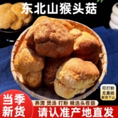 高品质山猴头菇干货新特产级头茬东北半野生菌可打粉养好胃500g