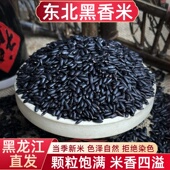 东北黑米黑香米糙米农家自产黑大米粗粮饭五谷杂粮粥健身主食5斤