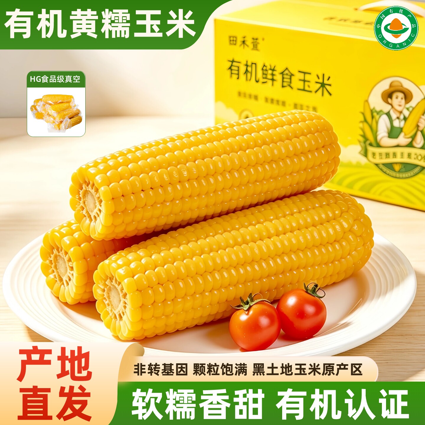田丰3号东北有机黄糯玉米新鲜大棒粘黏苞米粗粮早餐健身主食真空