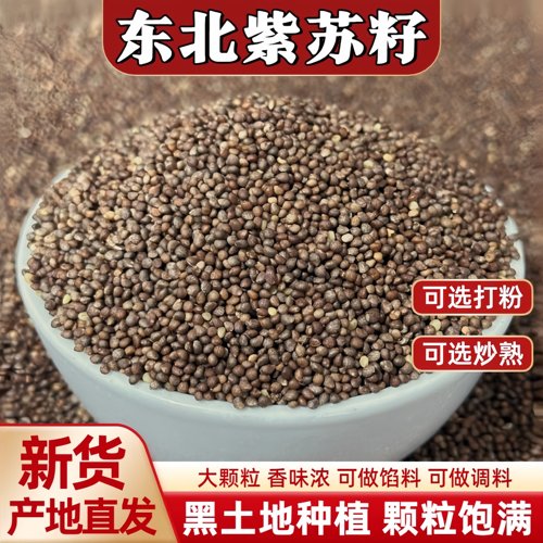 紫苏子籽东北大粒苏子种籽可打粉
