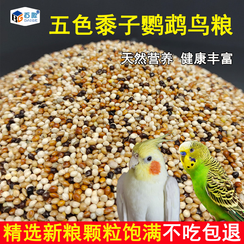 鸟粮百歌5种混合包邮鹦鹉饲料